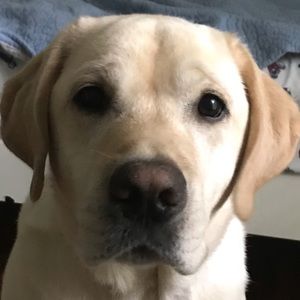 Meet your Posher, Vince